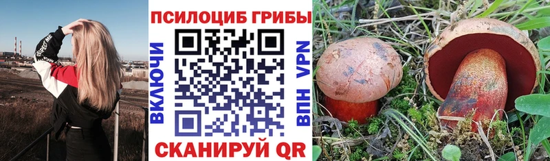 Галлюциногенные грибы Psilocybe  Рыбное 